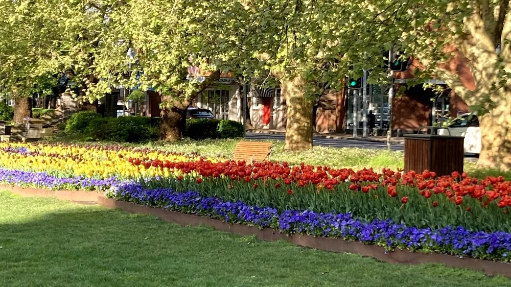 Flowerbeds at Leighton Gardens looking toward Argyle Street
